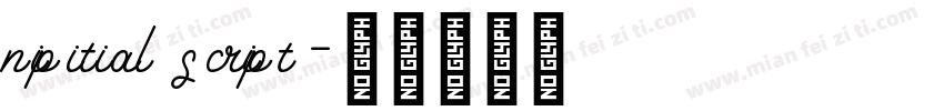 nipitial script字体转换